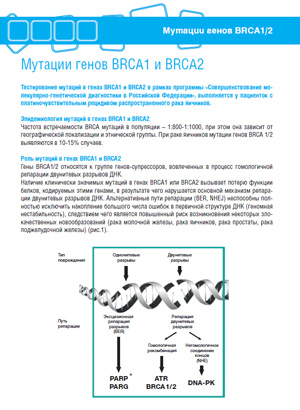 Мутации генов BRCA1 и BRCA2