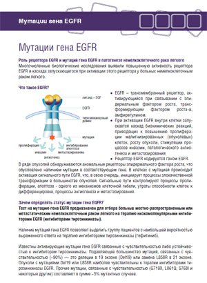 Мутации гена EGFR